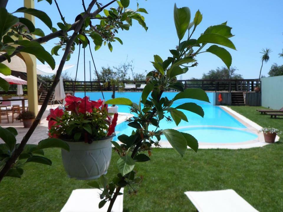 Hawaii Accommodation פלקאס מראה חיצוני תמונה